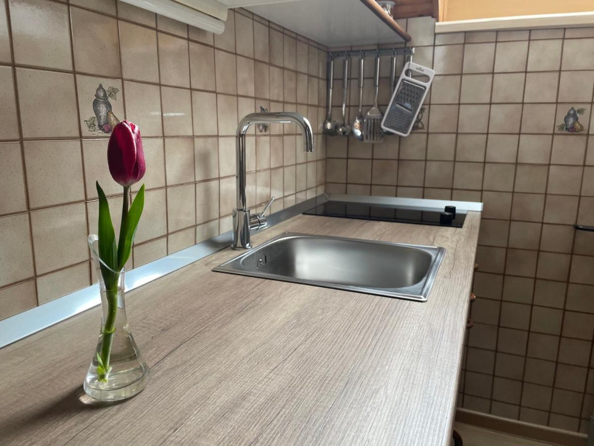 Apartmaji Prezelj Бохинь Экстерьер фото