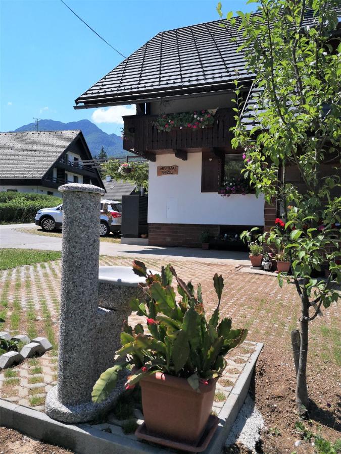 Apartmaji Prezelj Бохинь Экстерьер фото