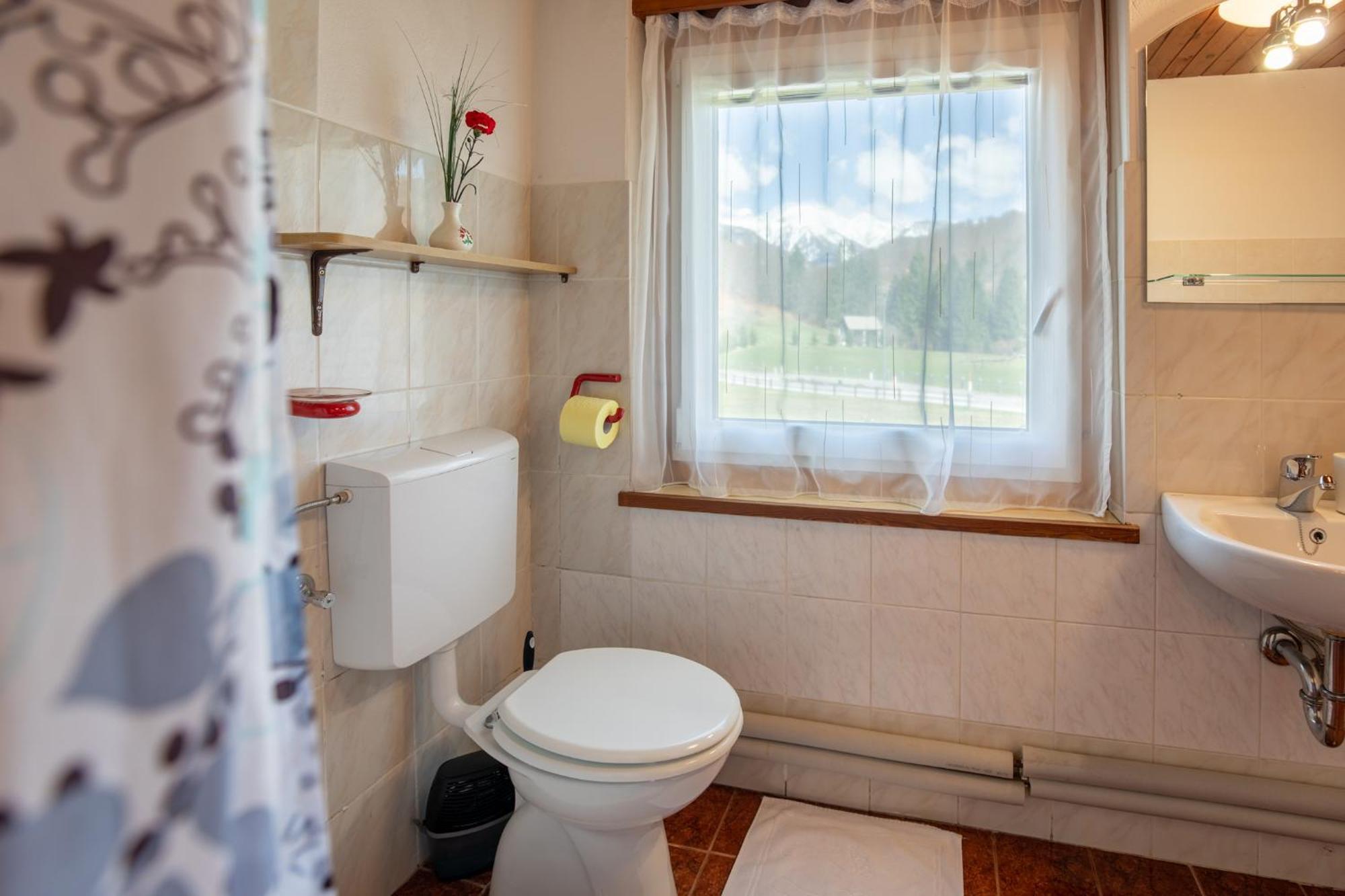 Apartmaji Prezelj Бохинь Экстерьер фото